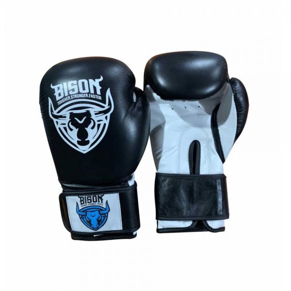 Boxing and MMA